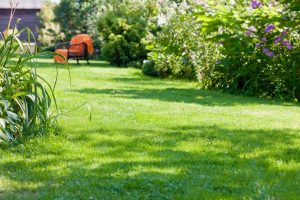 travaux jardin et paysage Port